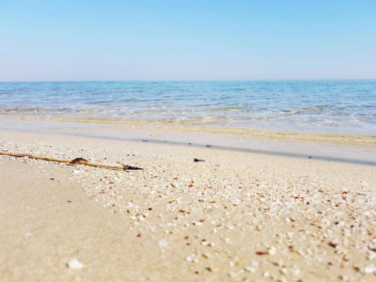 Alicante