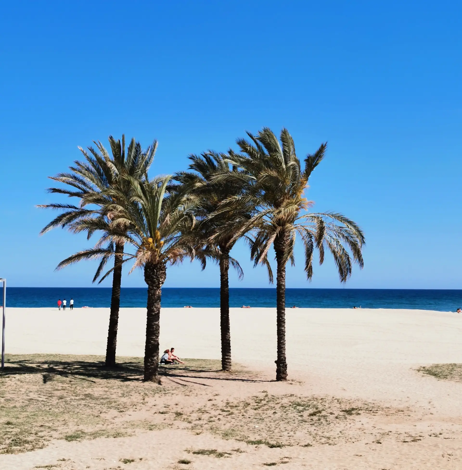 playa san juan