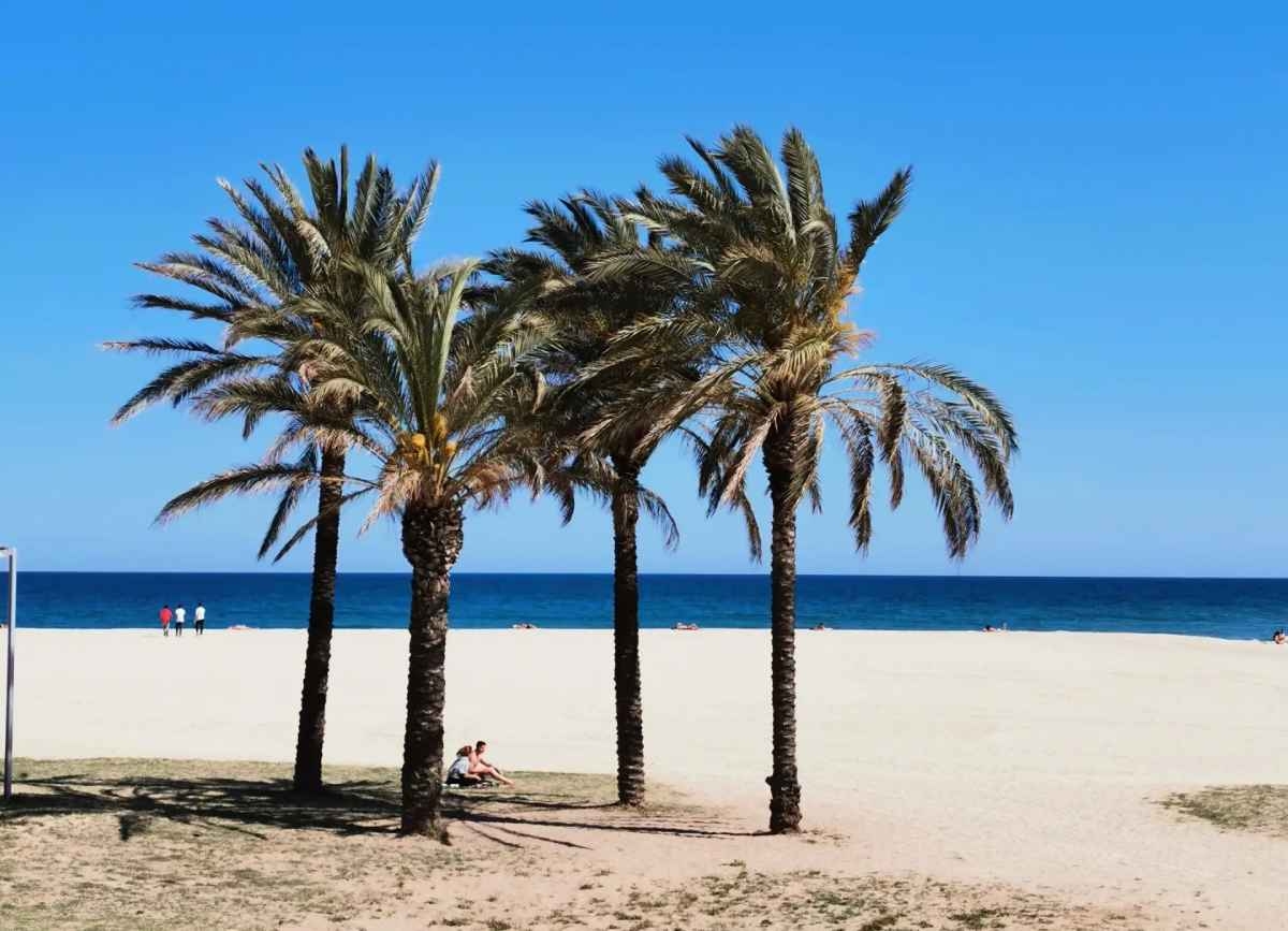 Playa San Juan Alicante